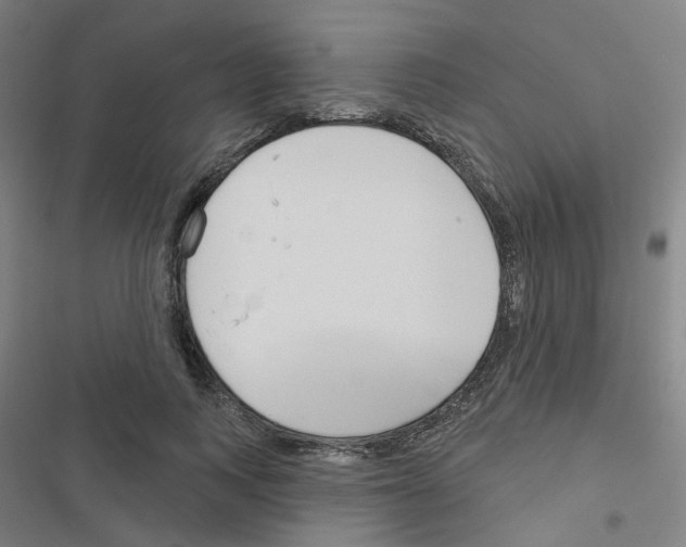 X0000116670743201001251238