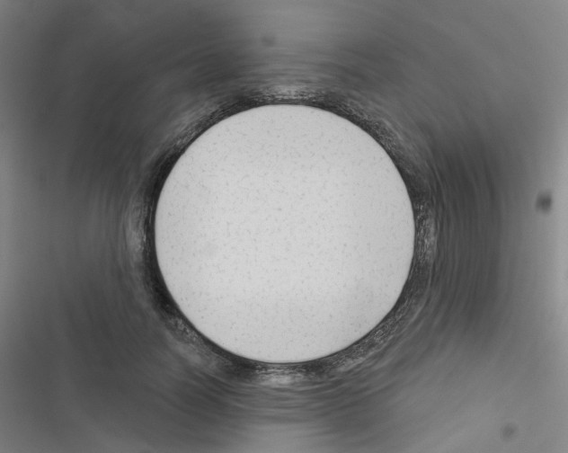 X0000116670746201001251238