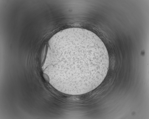 X0000116670747201001251238
