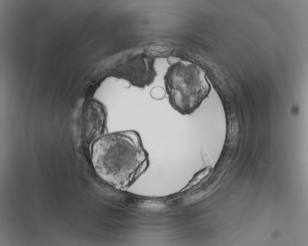 X0000116670749201001251238