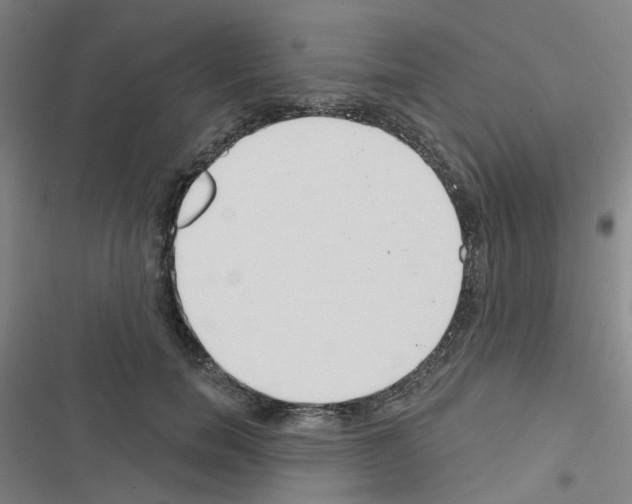 X0000116670750201001251238