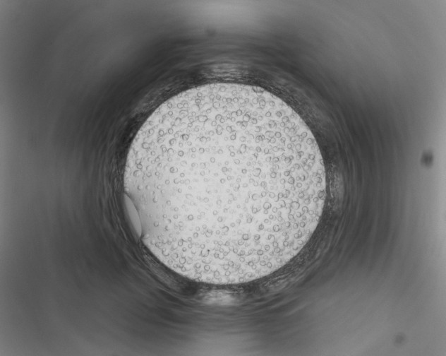 X0000116670751201001251238