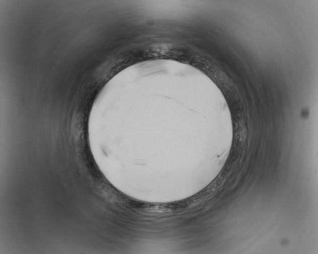 X0000116670754201001251238