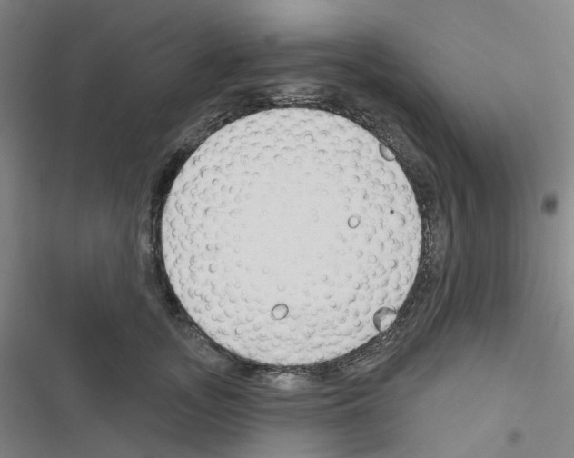 X0000116670755201001251238