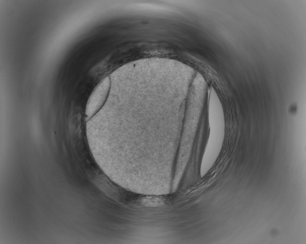 X0000116670762201001251239
