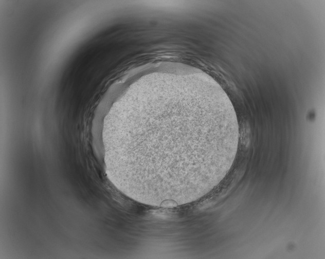 X0000116670763201001251239
