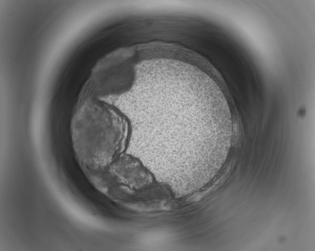 X0000116670765201001251239