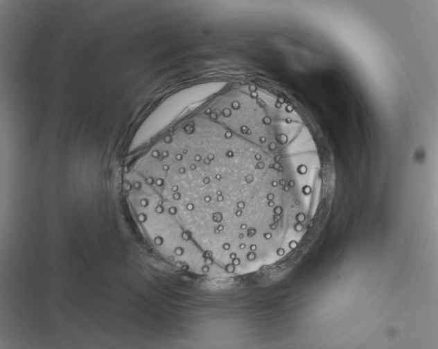 X0000116670767201001251239