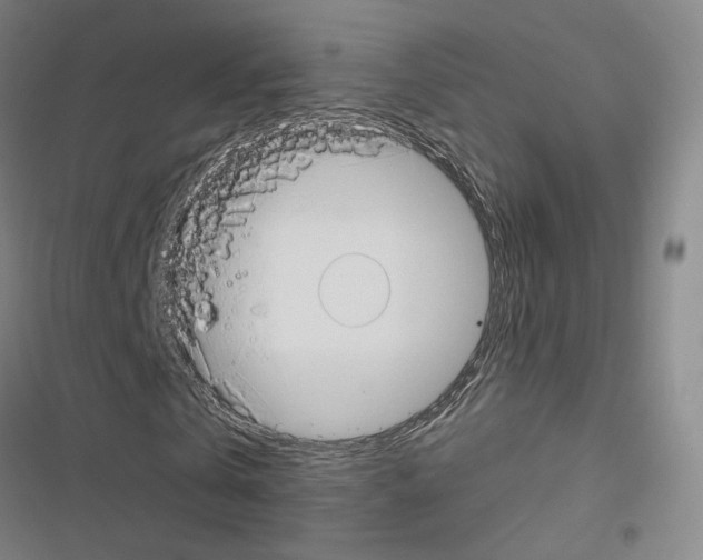X0000116670769201001251238