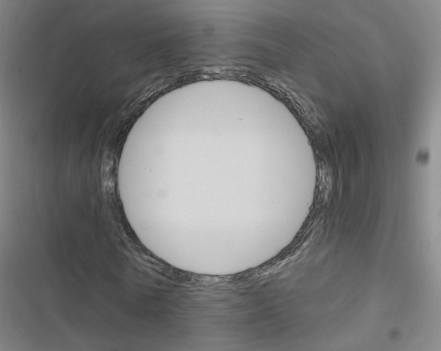 X0000116670770201001251238