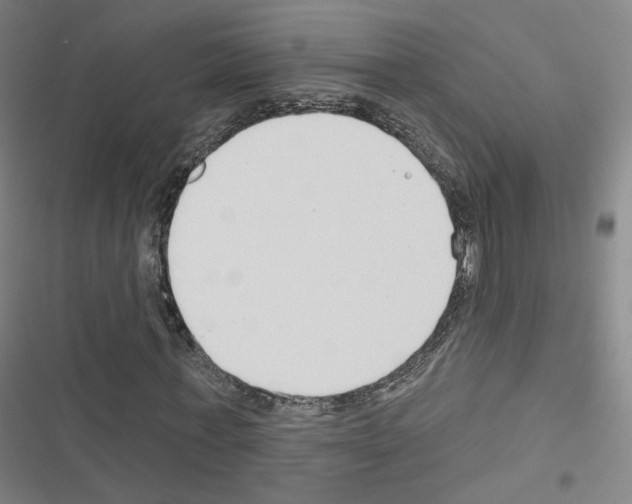 X0000116670771201001251238