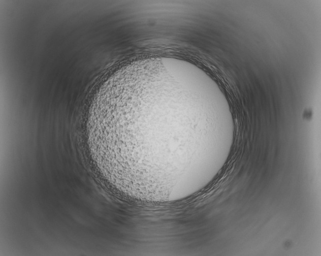X0000116670772201001251238