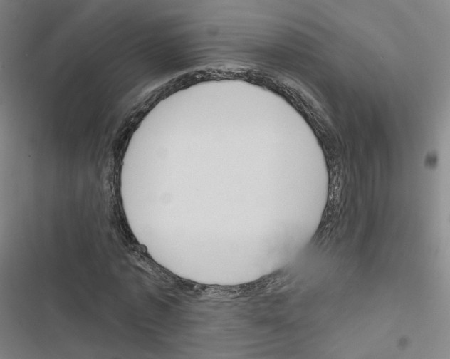 X0000116670773201001251238