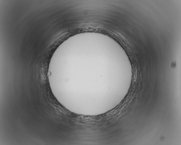 X0000116670774201001251238