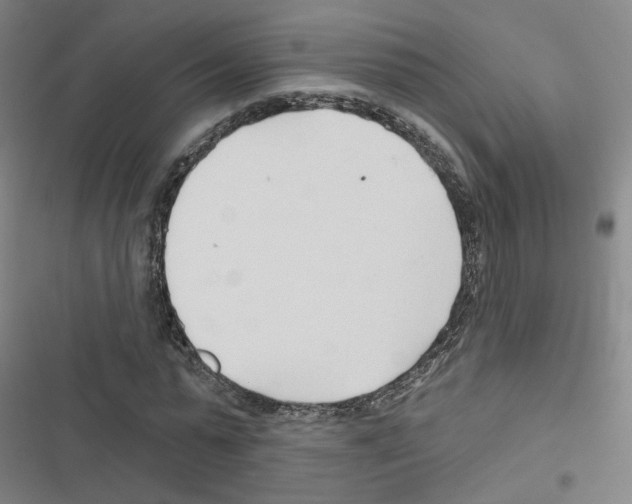 X0000116670775201001251238