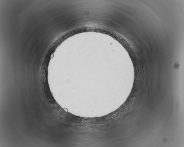 X0000116670776201001251238