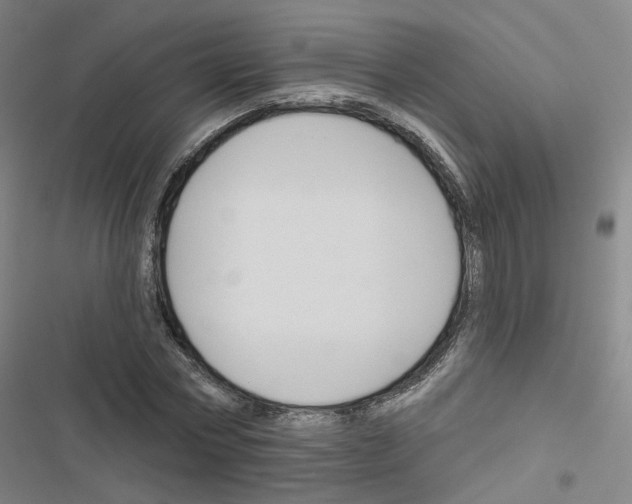 X0000116670778201001251238