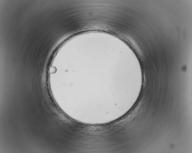 X0000116670780201001251238