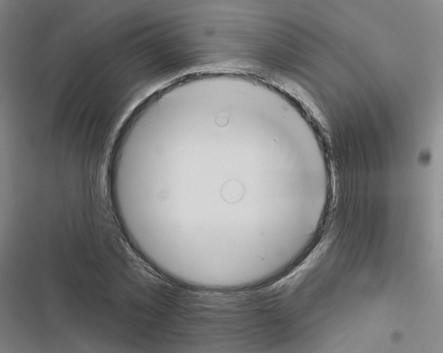 X0000116670781201001251238