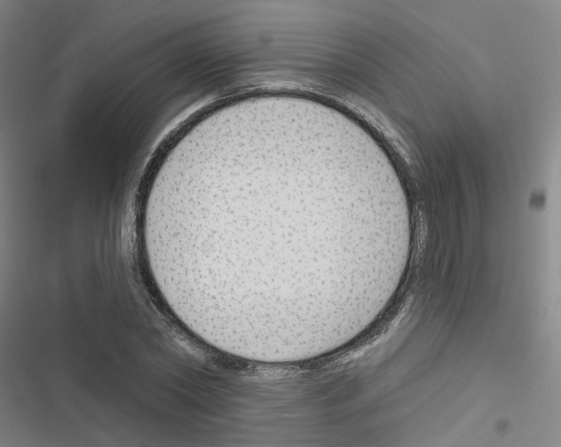X0000116670782201001251238