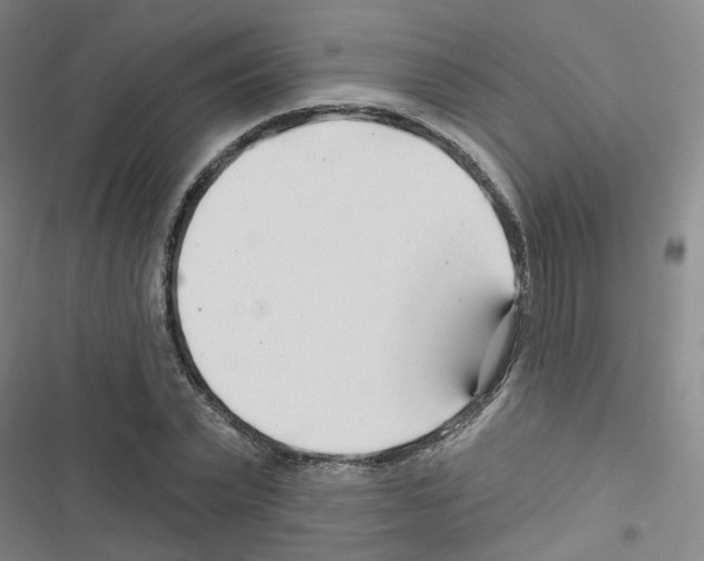 X0000116670783201001251238
