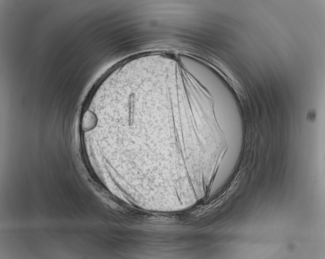 X0000116670788201001251238