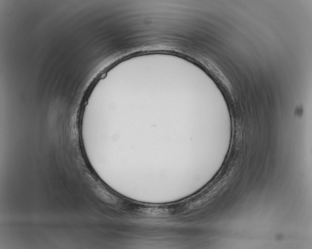 X0000116670789201001251238