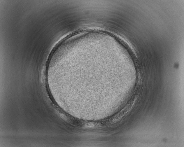 X0000116670790201001251238