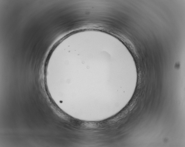 X0000116670792201001251238