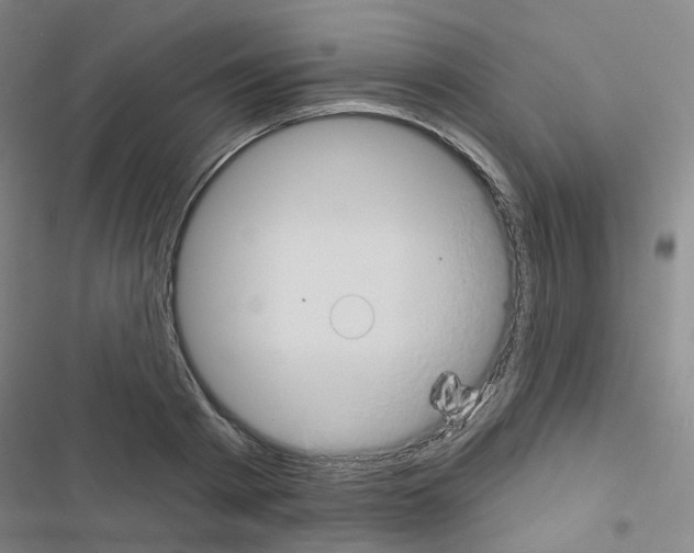 X0000116670793201001251238