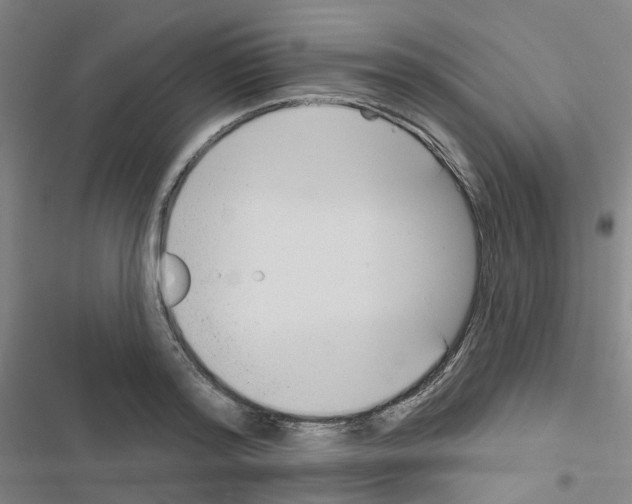 X0000116670796201001251238