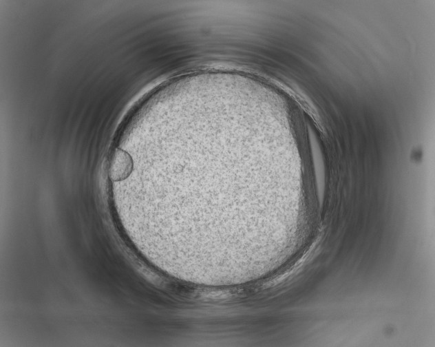 X0000116670798201001251238