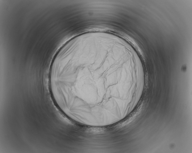 X0000116670802201001251238