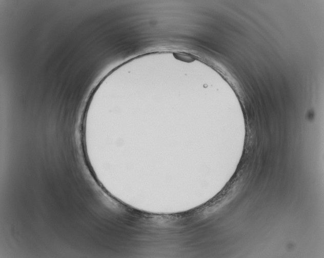 X0000116670803201001251238