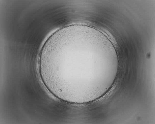 X0000116670804201001251238