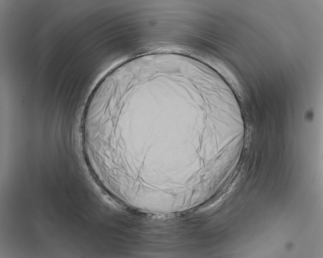 X0000116670806201001251237