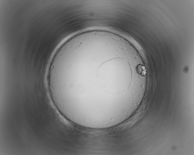 X0000116670807201001251237