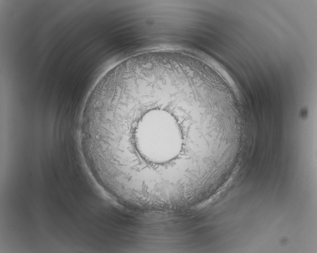 X0000116670810201001251237