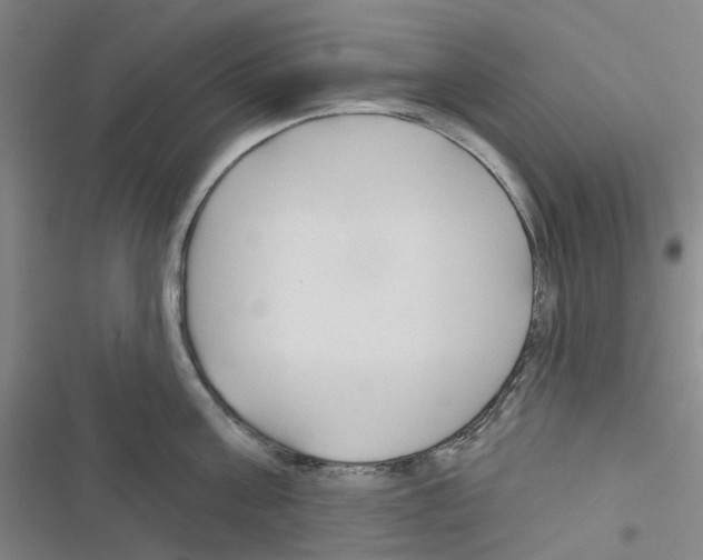 X0000116670811201001251237
