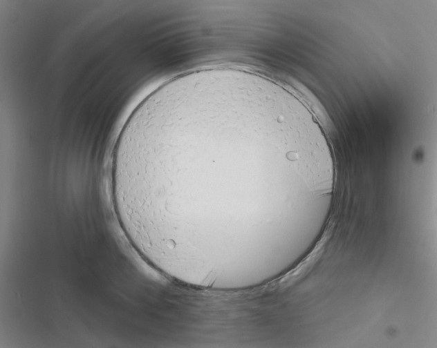 X0000116670812201001251237