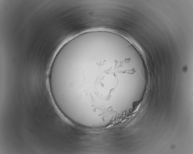 X0000116670813201001251237