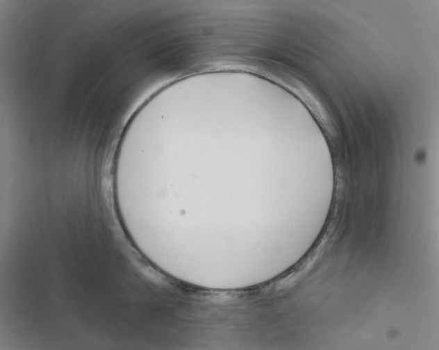 X0000116670814201001251237