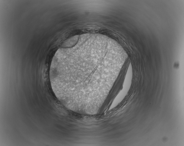 X0000116670818201001251237