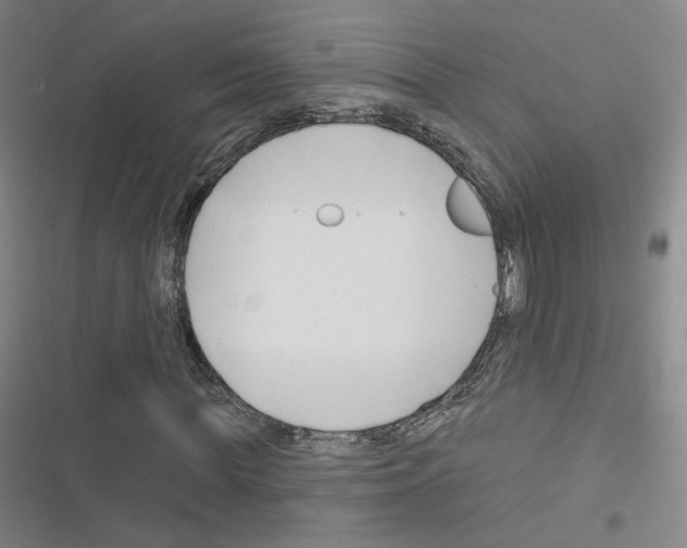 X0000116670819201001251237
