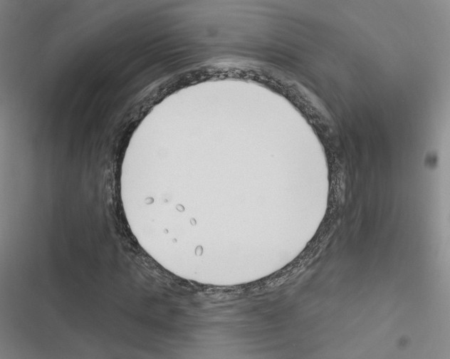 X0000116670821201001251237