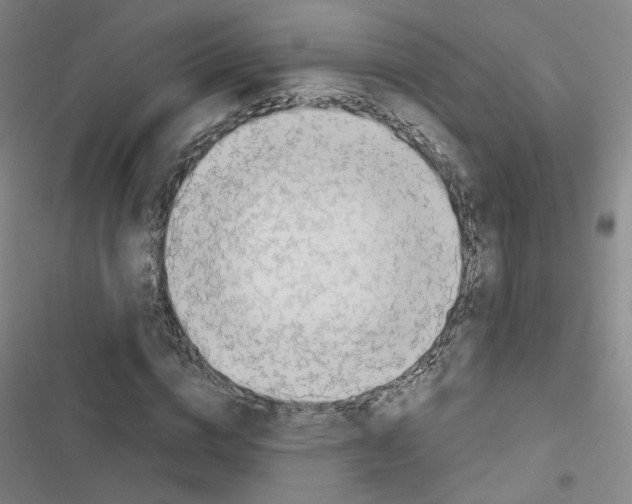 X0000116670824201001251237