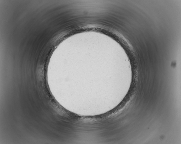 X0000116670825201001251237