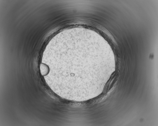 X0000116670826201001251237