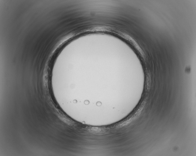 X0000116670827201001251237