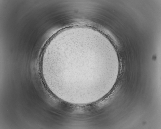 X0000116670828201001251237